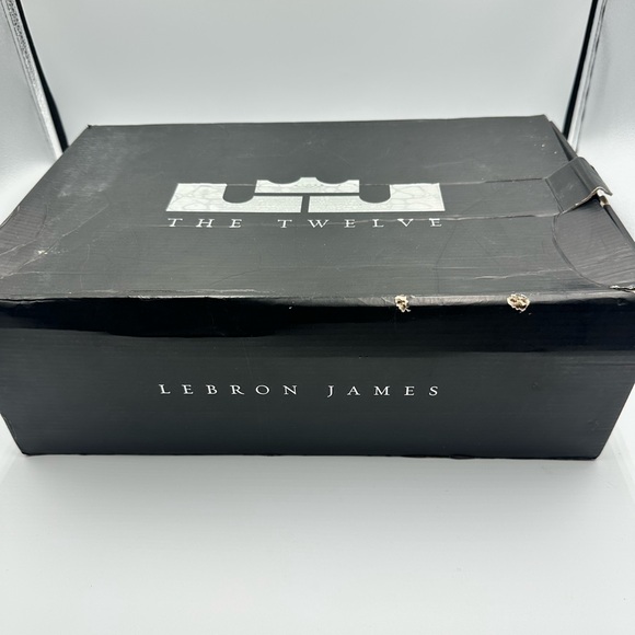 Nike Lebron XII 12 SE WTL What The Lebron James Multicolor Phantom MTLC Cacao 10 - Picture 12 of 14